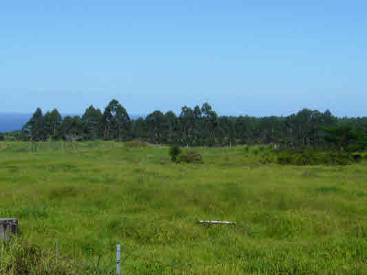Akaka Falls Road, 4.56 acres Acreage Near Akaka Falls Road, So. Hilo