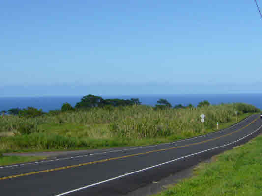 Acreage near Akaka Falls State Park in South Hilo, Big Island of Hawaii