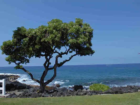 756040 ALII DR,KAILUA-KONA,HI,96740,USA