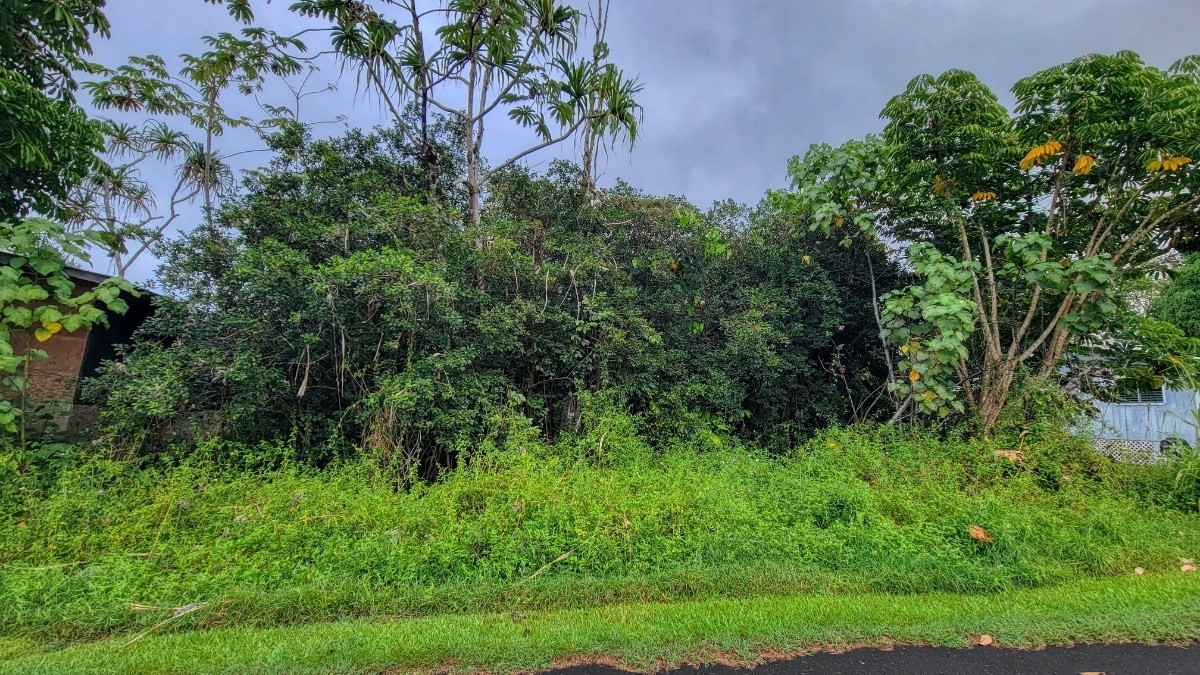 N MANALO ST PAHOA HI 96778