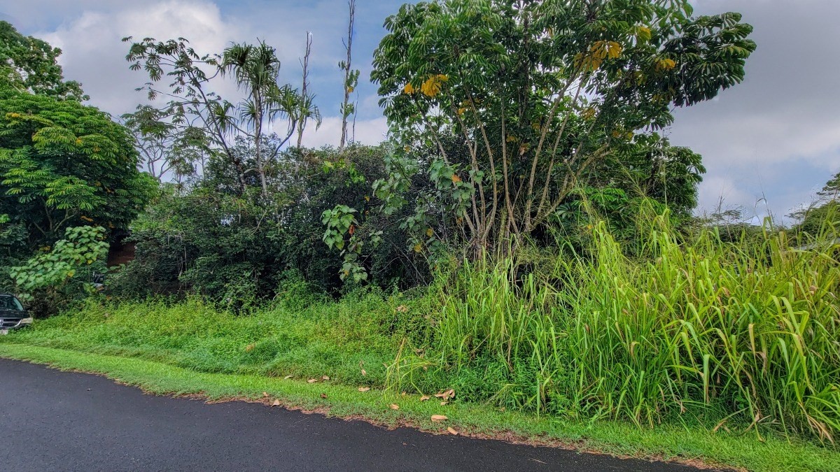 N MANALO ST PAHOA HI 96778