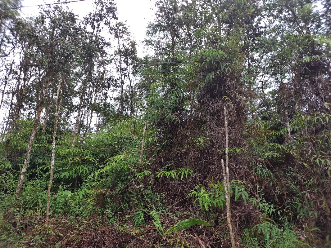 Big Island Listing Image