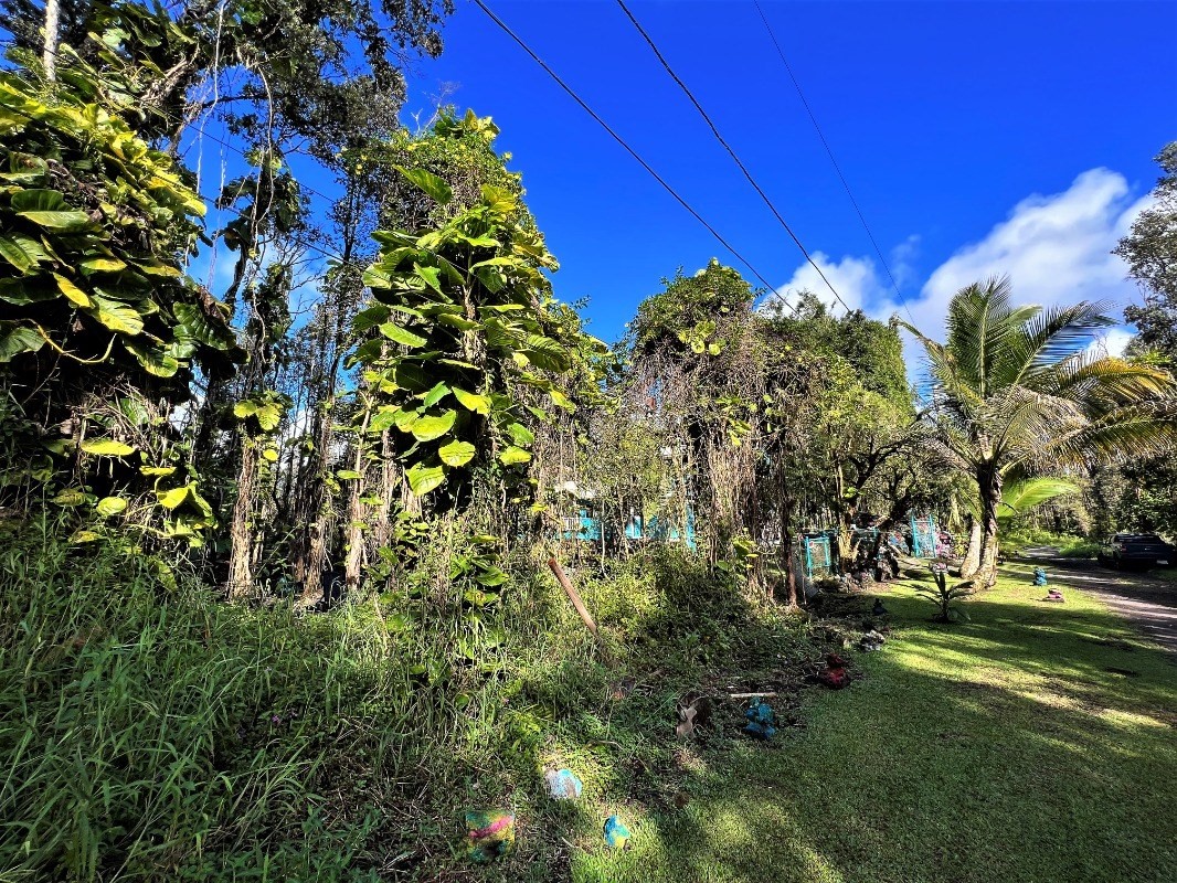 Big Island Listing Image
