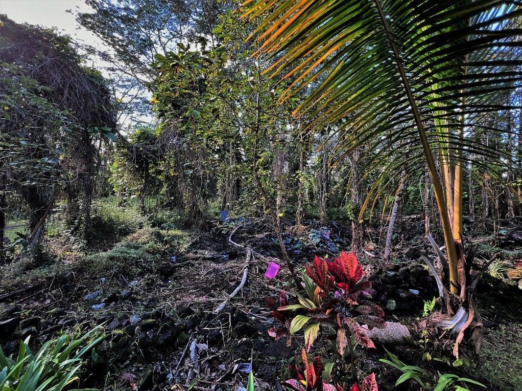 Big Island Listing Image