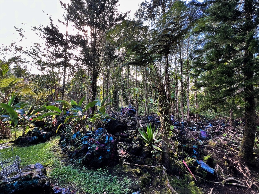 Big Island Listing Image