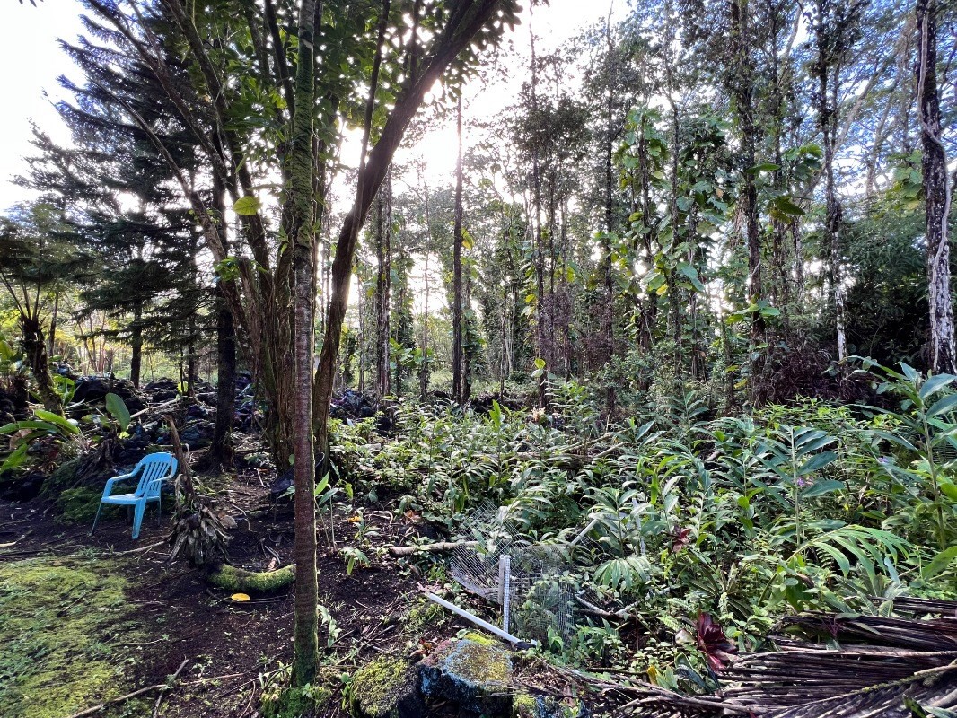 Big Island Listing Image