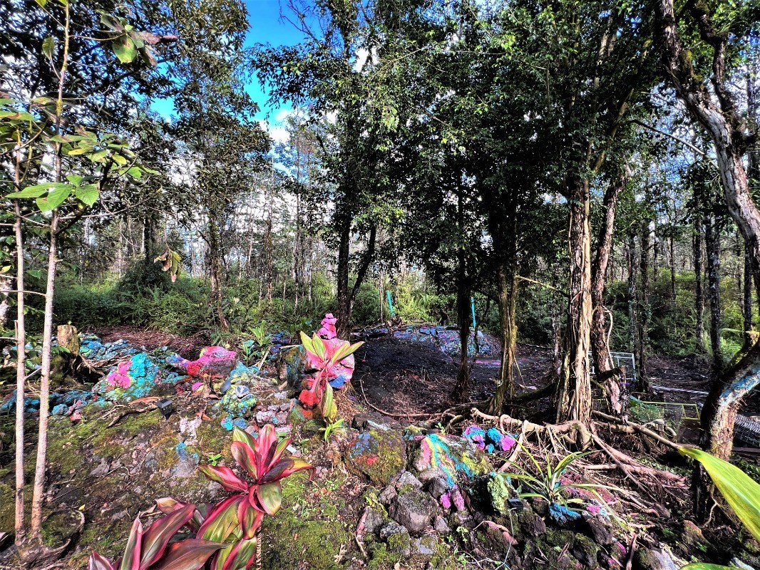 Big Island Listing Image