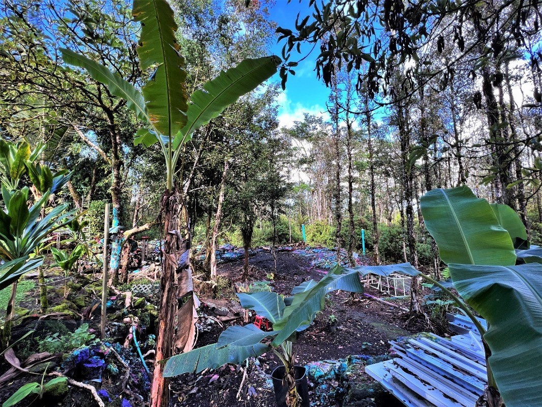 Big Island Listing Image