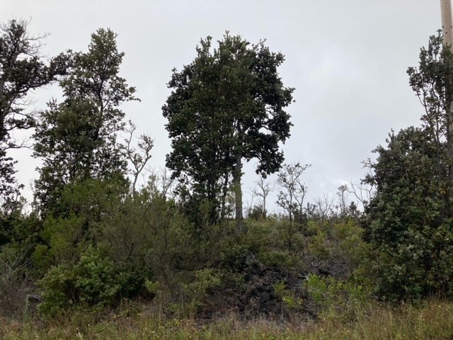 Big Island Listing Image