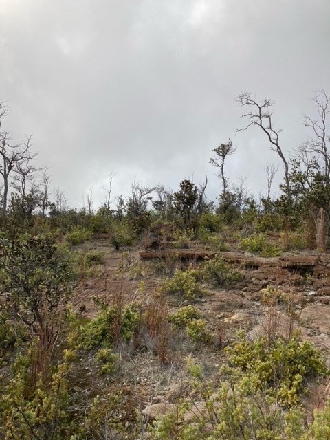 Big Island Listing Image