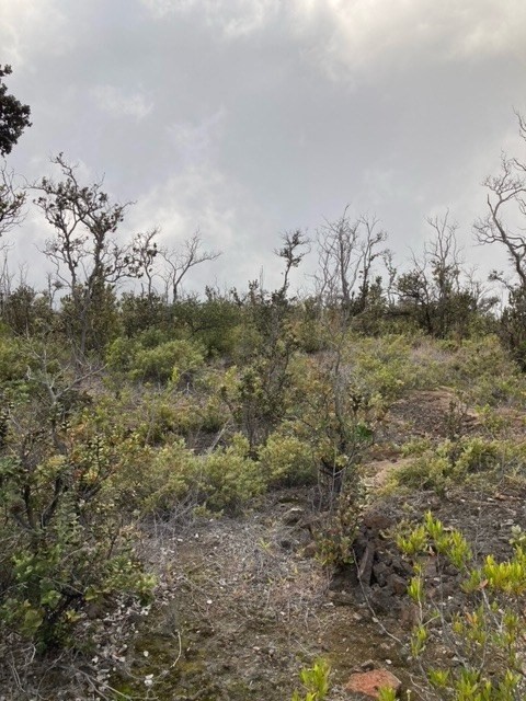 Big Island Listing Image