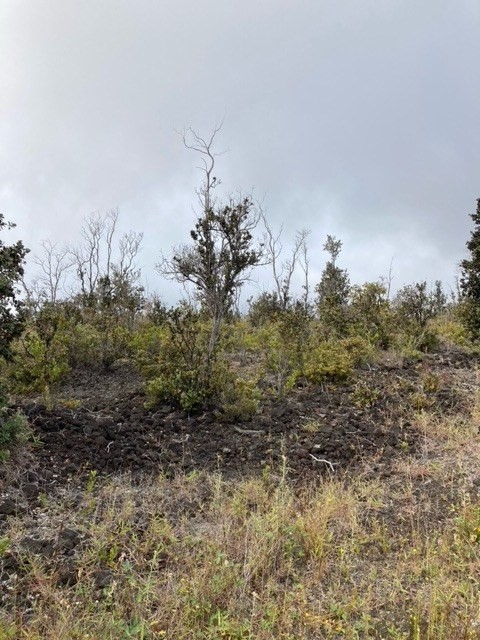 Big Island Listing Image