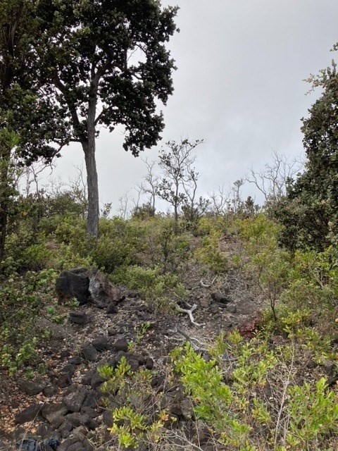 Big Island Listing Image