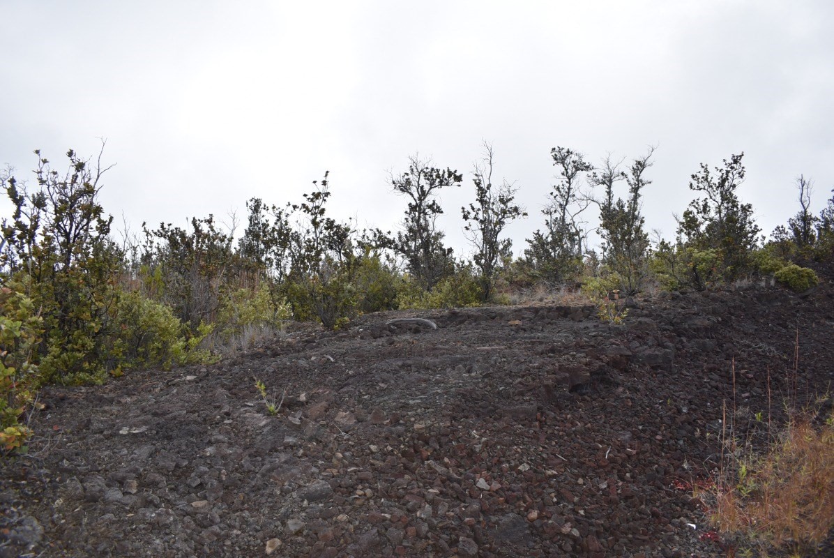 Big Island Listing Image