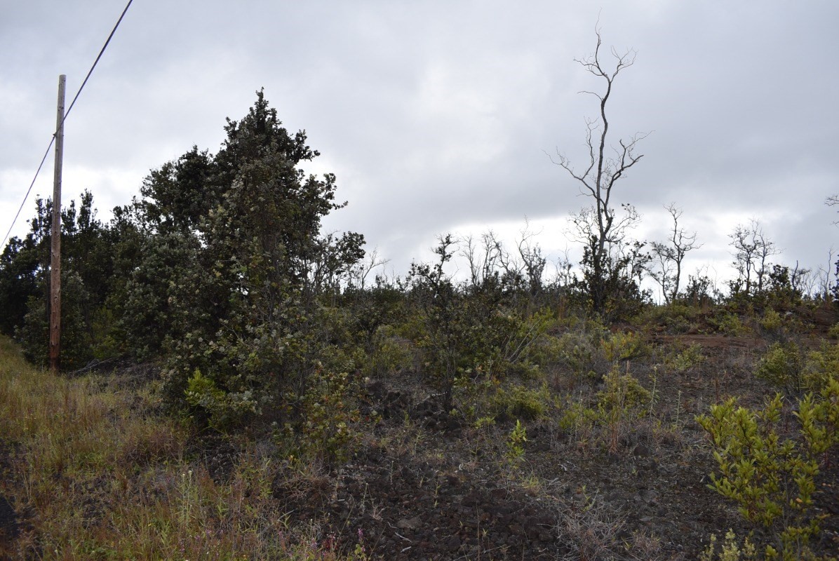 Big Island Listing Image