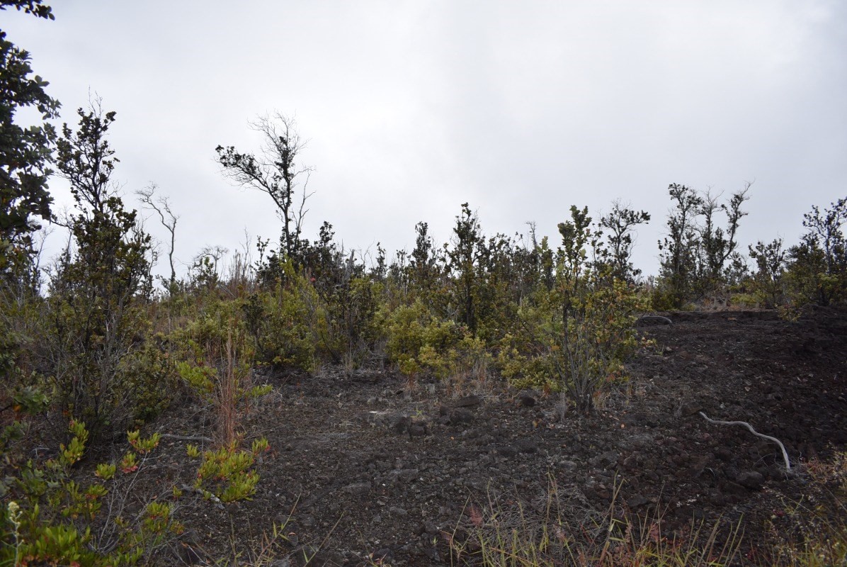 Big Island Listing Image