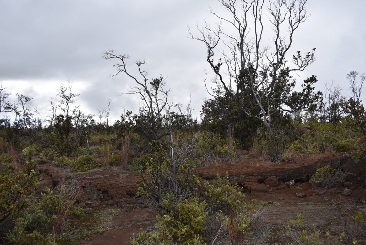 Big Island Listing Image