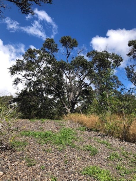 Big Island Listing Image