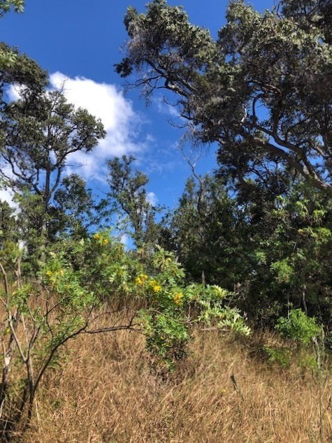 Big Island Listing Image