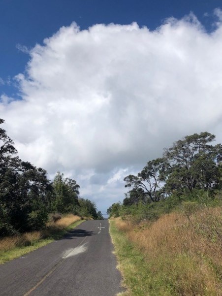 Big Island Listing Image