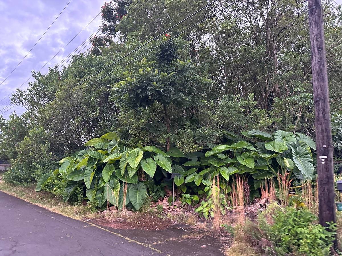 340 KAPUALANI ST HILO HI 96720