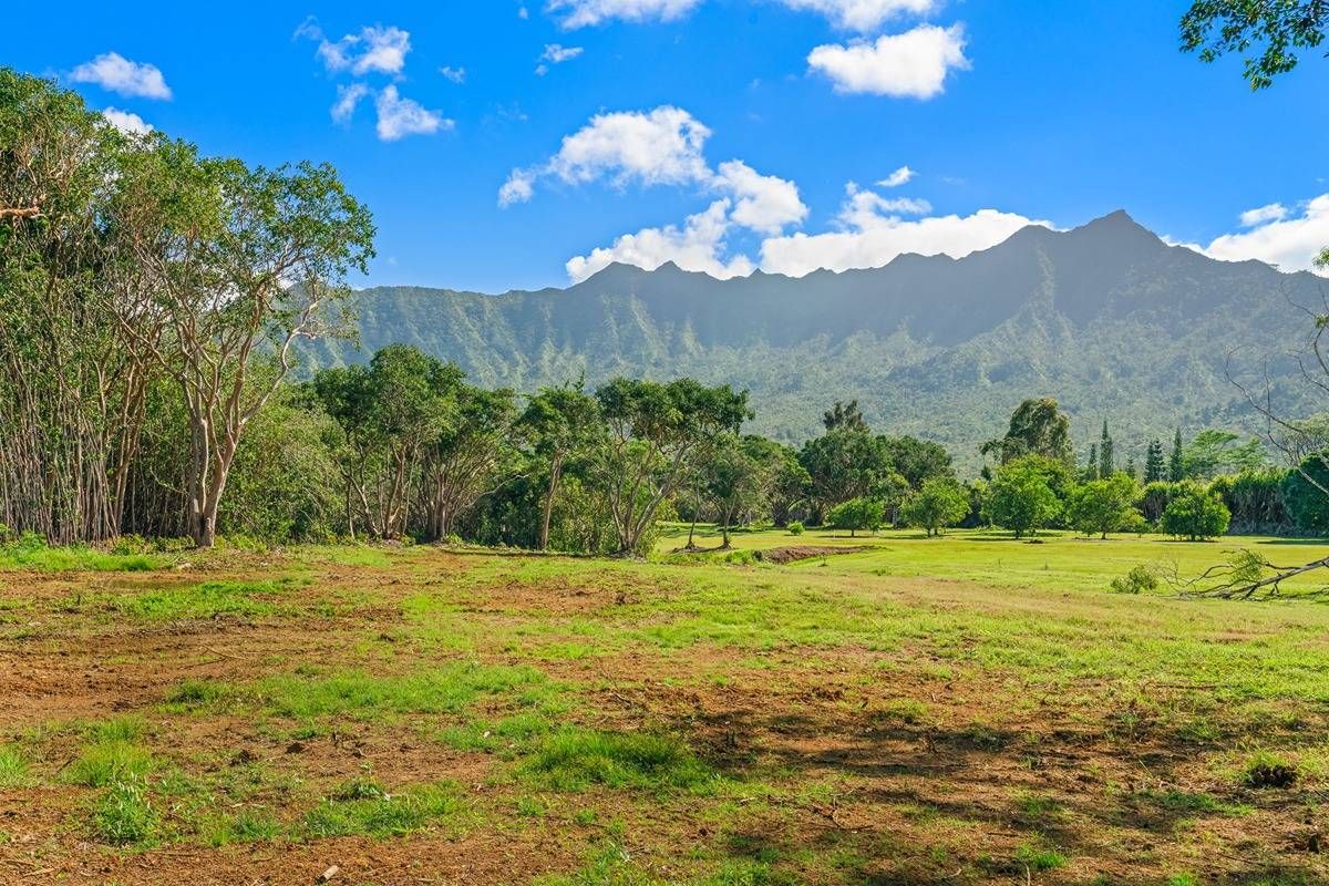 HALAULANI RD #5 KILAUEA HI 96754