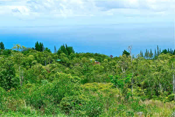 MLS# 237916 Laupahoehoe Homesteads MLS# 237916 Laupahoehoe Homesteads