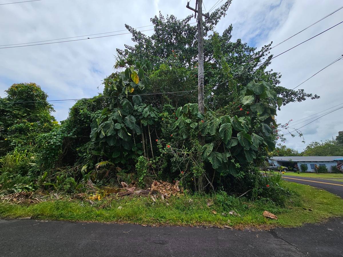 15-2710 PALANI ST PAHOA HI 96778
