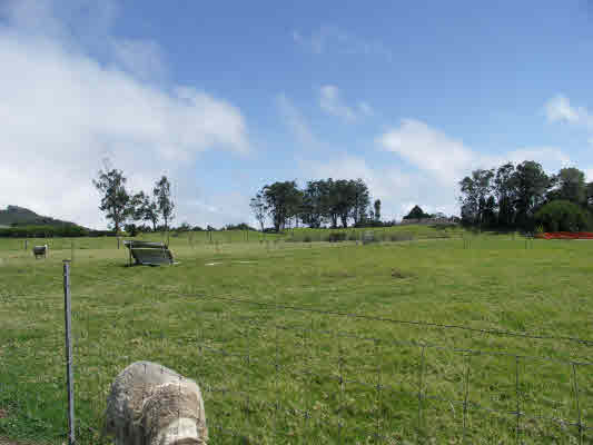 Puukapu Homesteads