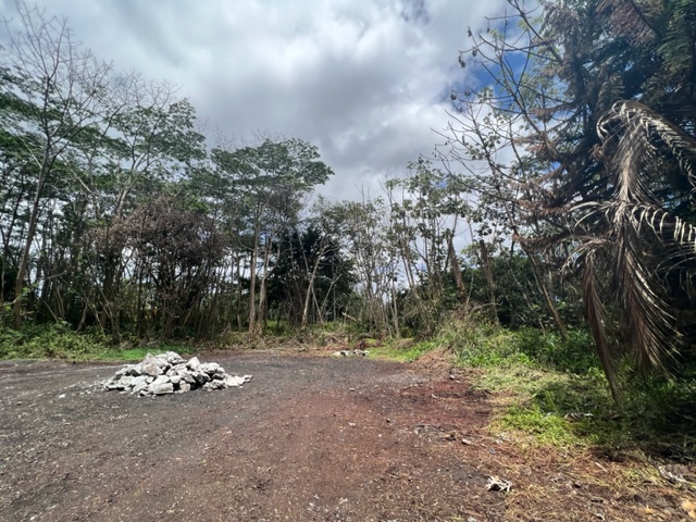 Big Island Listing Image