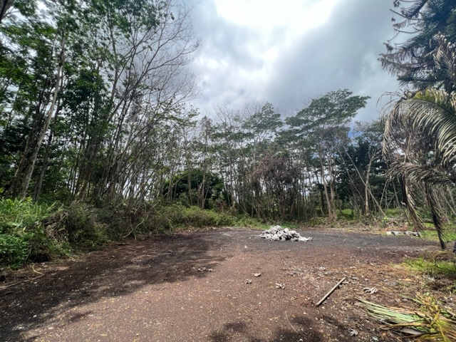 Big Island Listing Image