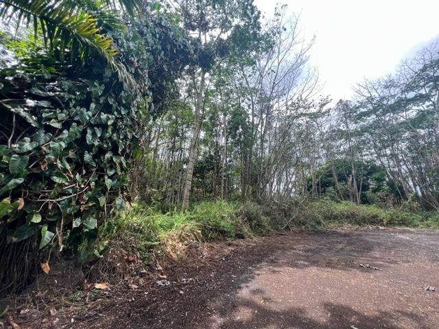 Big Island Listing Image