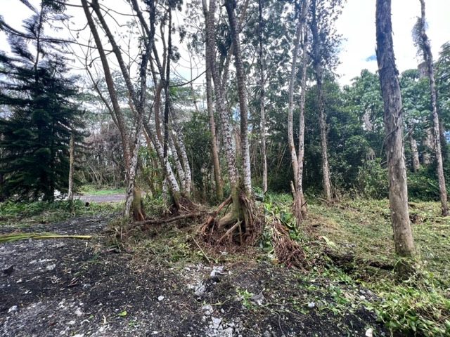 Big Island Listing Image