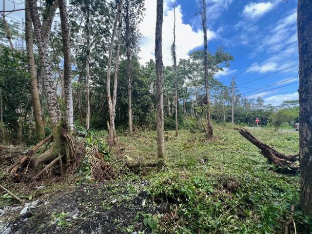 Big Island Listing Image