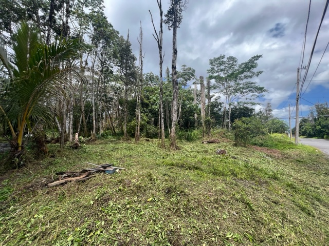 Big Island Listing Image