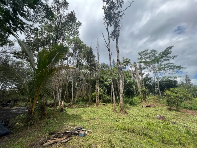 Big Island Listing Image