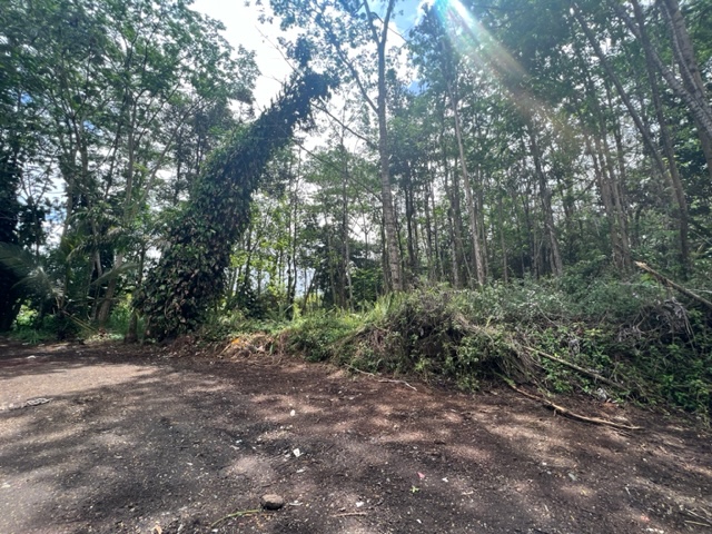 Big Island Listing Image