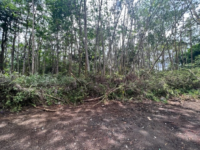 Big Island Listing Image