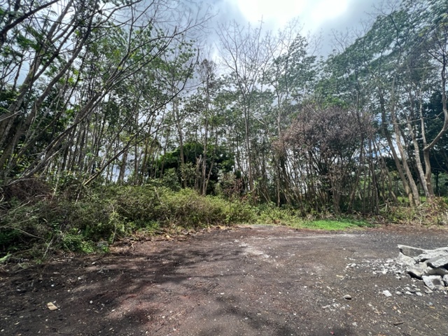 Big Island Listing Image