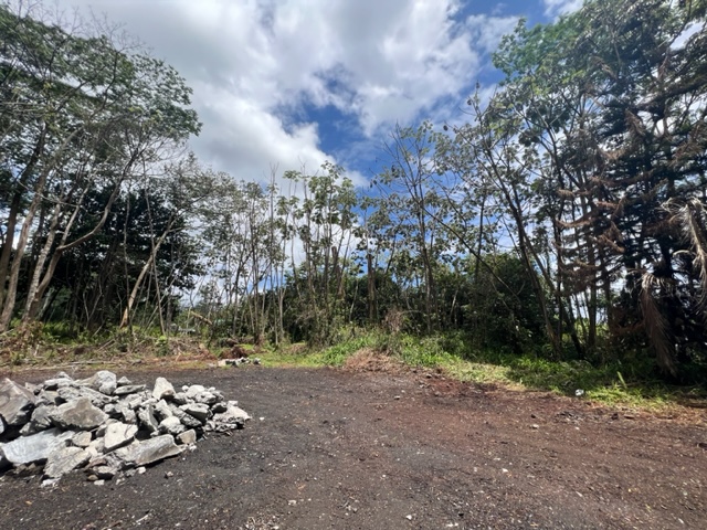 Big Island Listing Image