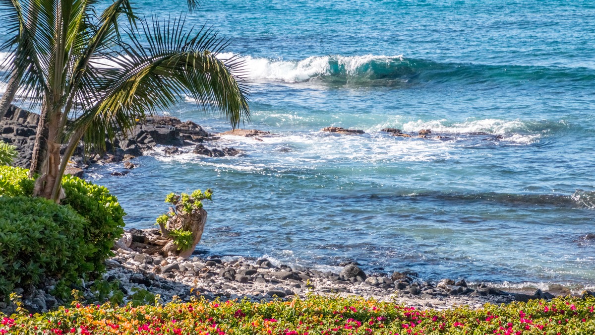 Big Island Listing Image