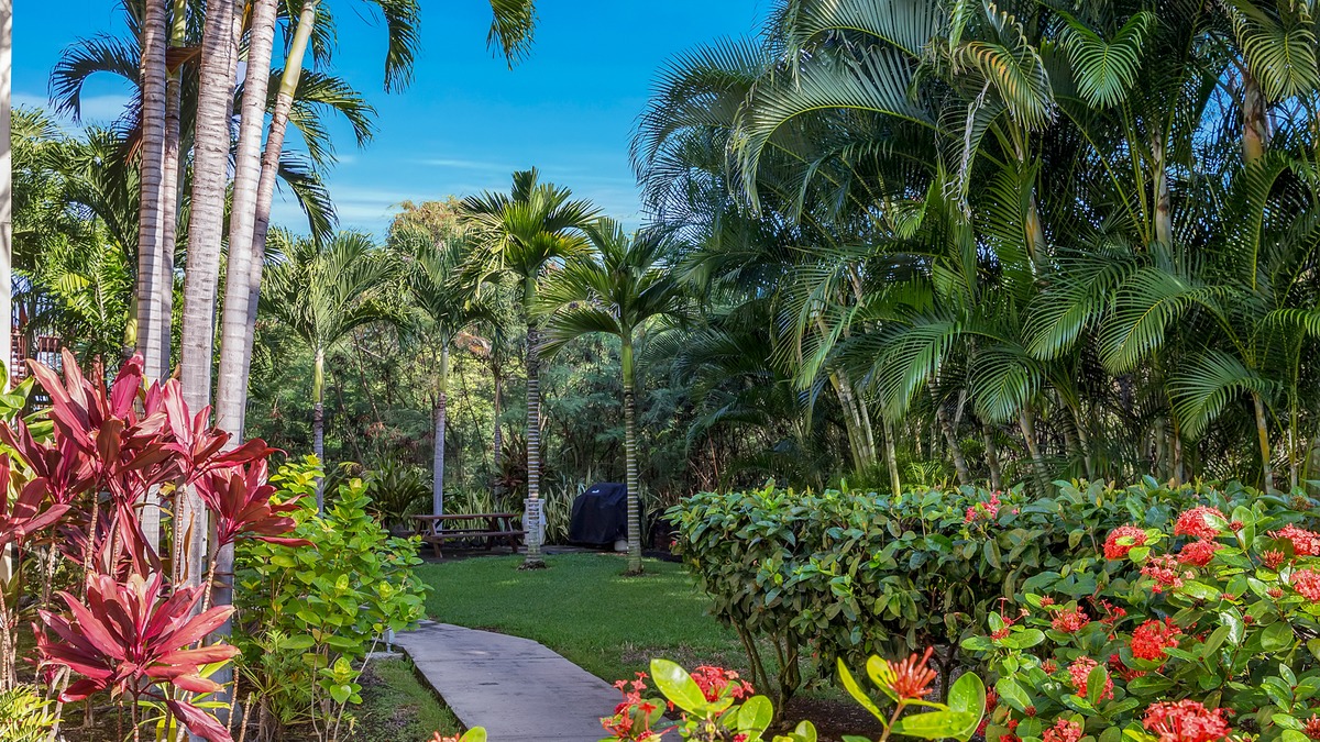 Big Island Listing Image