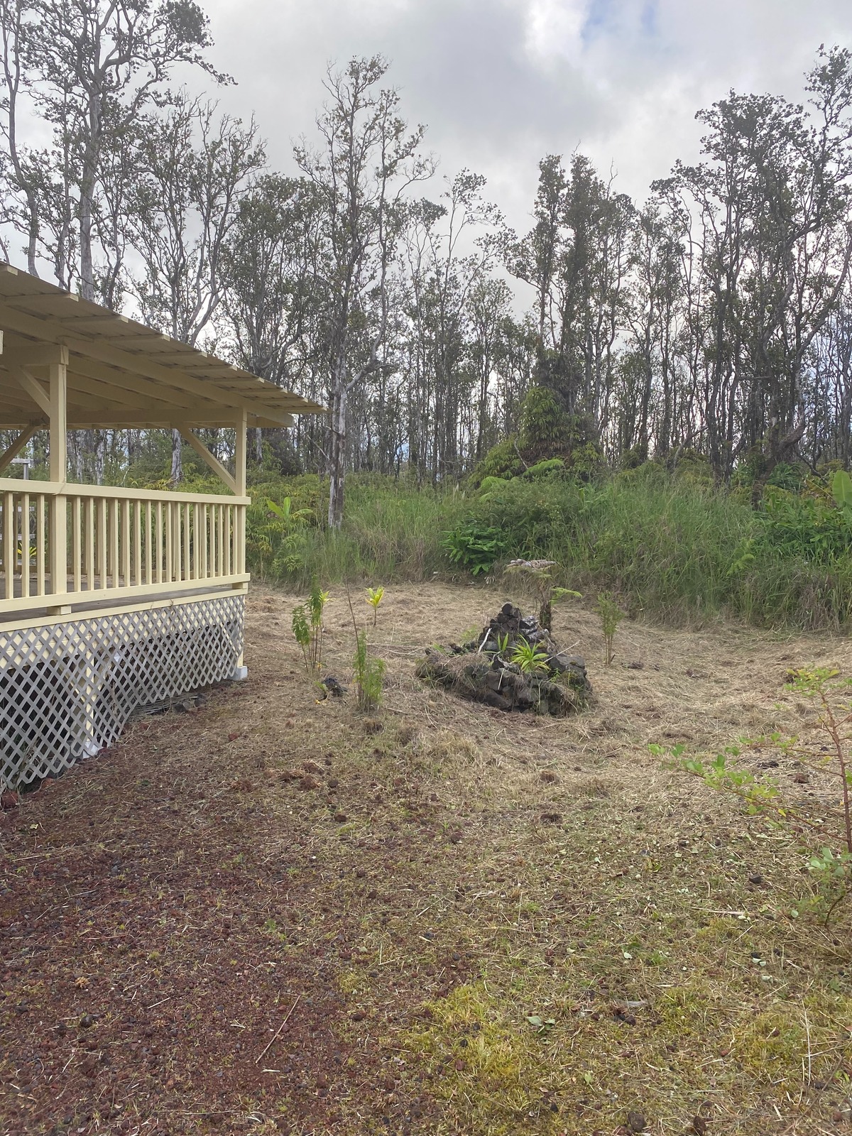 Big Island Listing Image