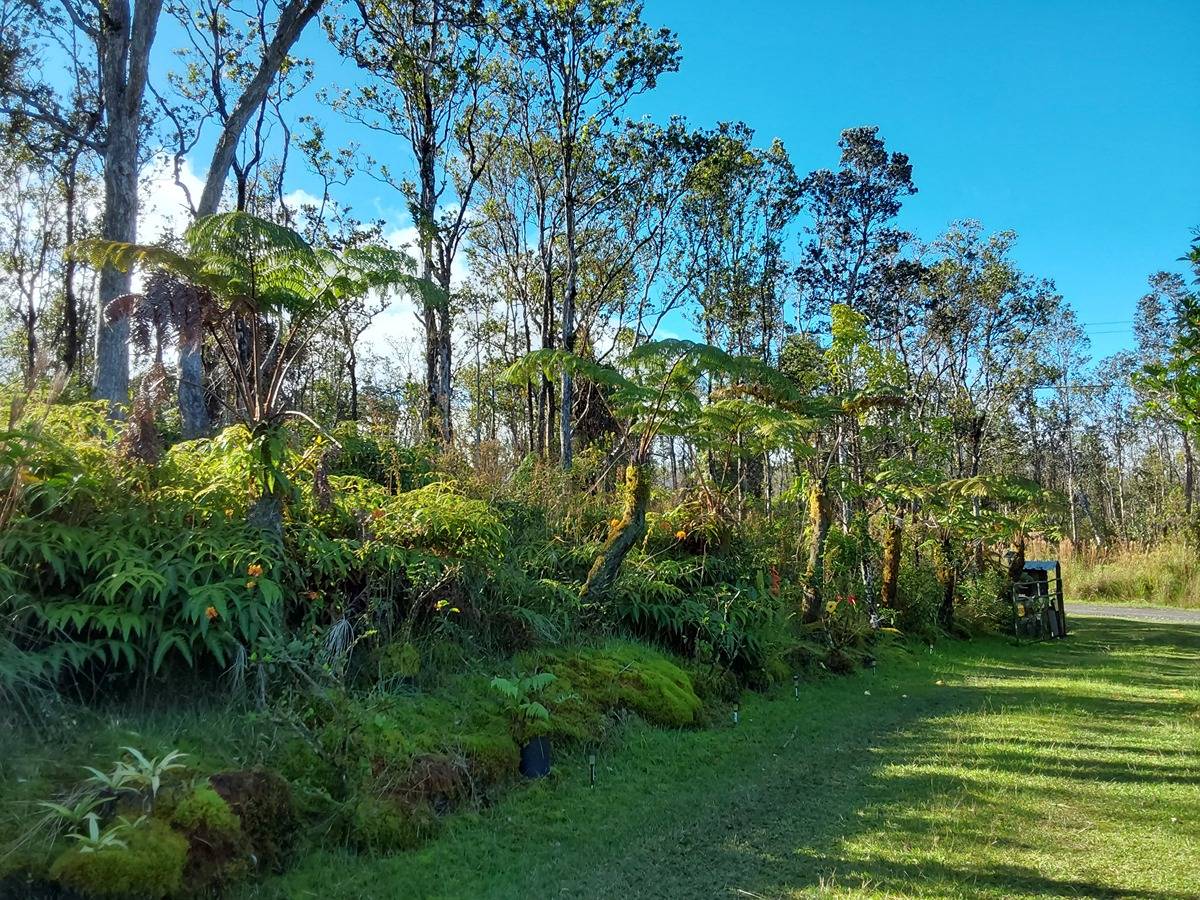 Big Island Listing Image