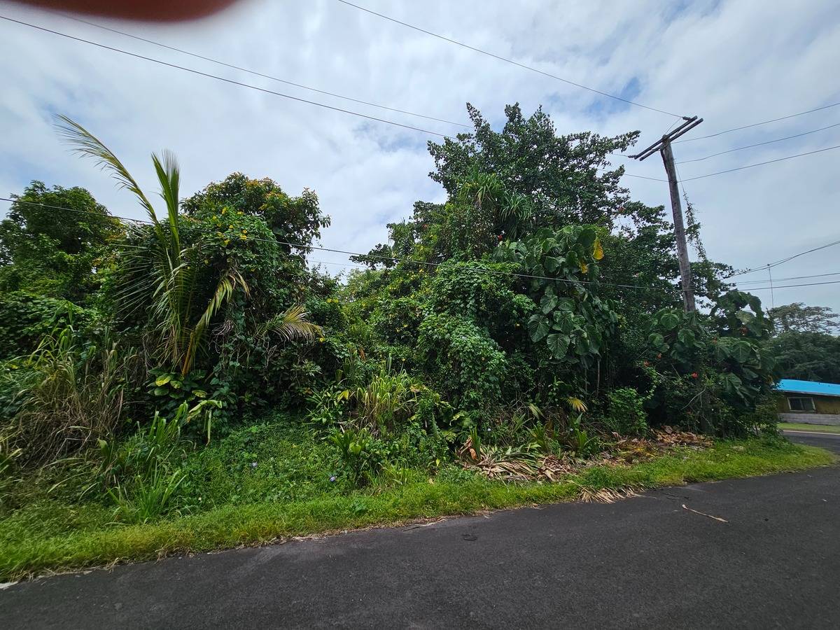 PALANI ST PAHOA HI 96778