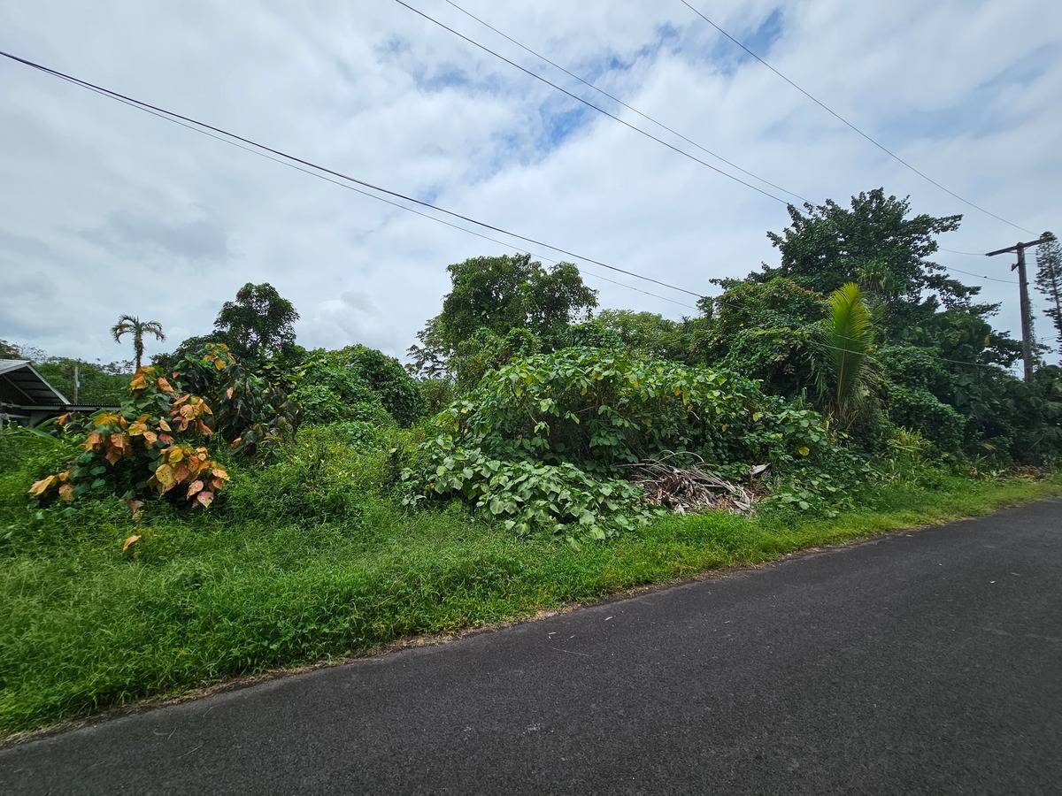 PALANI ST PAHOA HI 96778