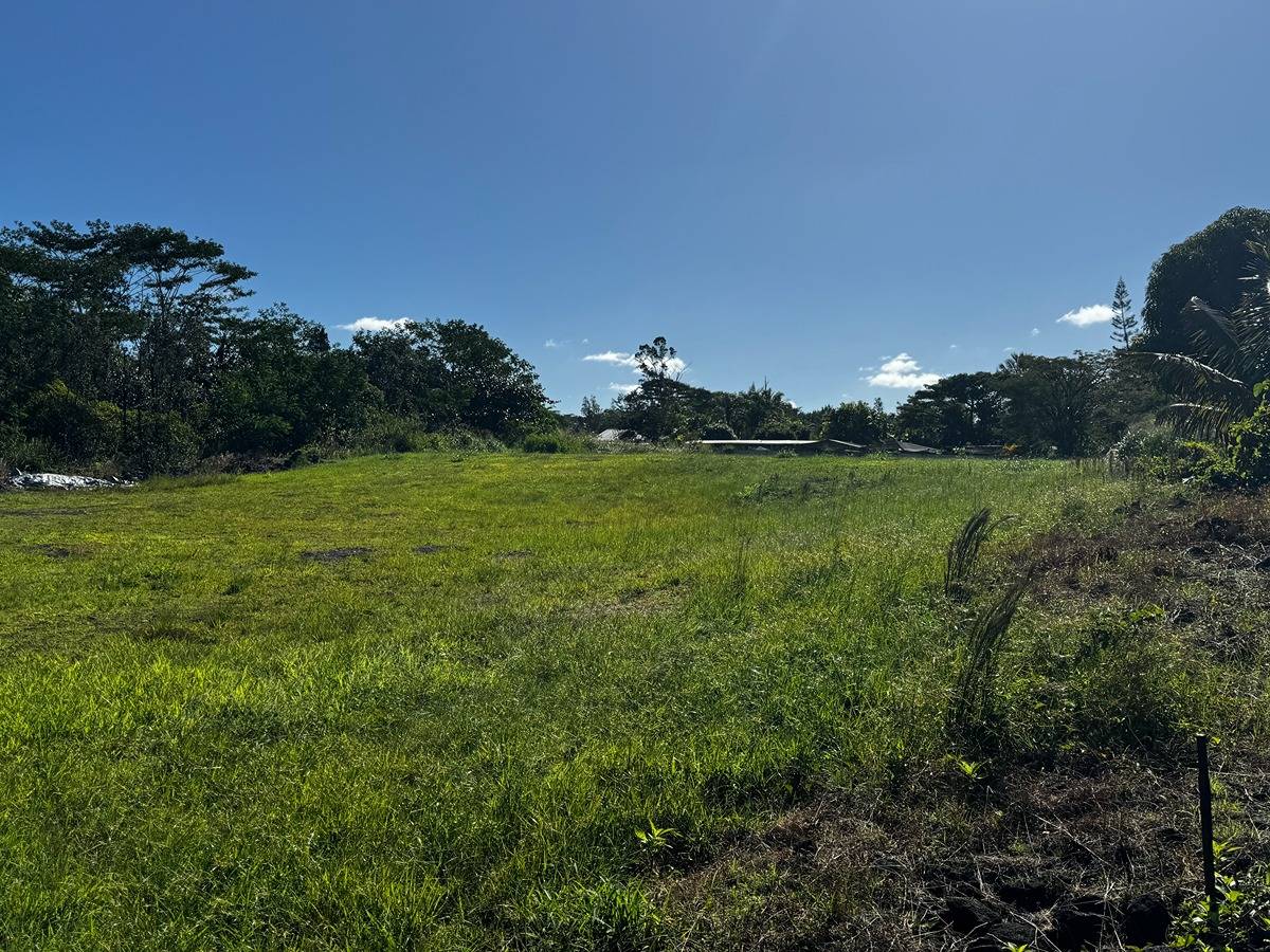 21ST AVE KEAAU HI 96749