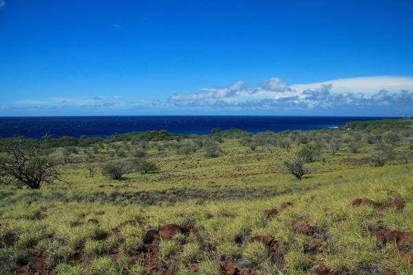 Akoni Pule Hwy, HAWI, HI, 96719, USA