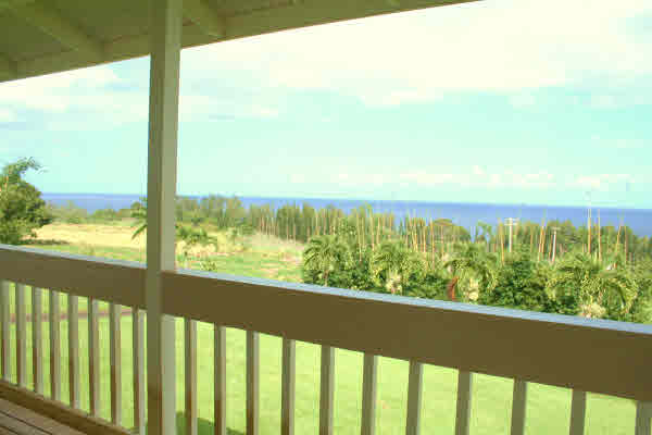 281829 OLD MAMALAHOA HWY,HONOMU,HI,96728,USA
