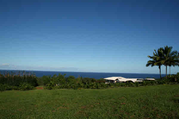 28-1829 OLD MAMALAHOA HWY, Honomu, HI, 96728
